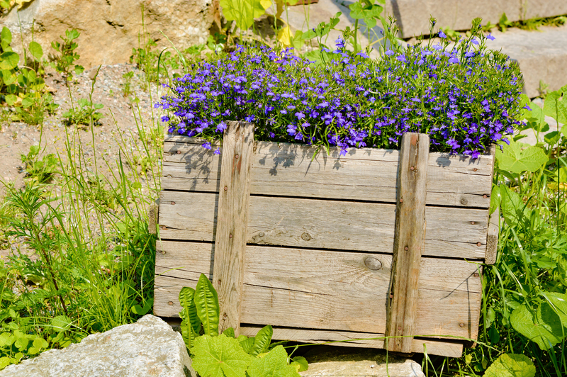 Innovative Paths to Recycling Your Smartphone